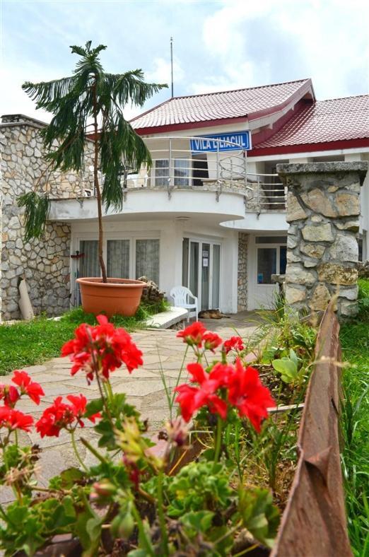 Vila Liliacul Stana de Vale Luaran gambar